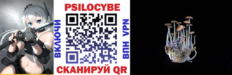 где найти   Долгопрудный  Галлюциногенные грибы Psilocybe 