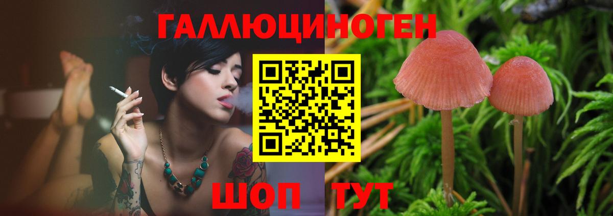 Галлюциногенные грибы Psilocybine cubensis  купить  цена  Галлюциногенные грибы GOLDEN TEACHER  Долгопрудный  Вход с VPN 